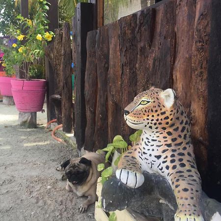 Hotel Hacienda La Catrina Isla Holbox ภายนอก รูปภาพ