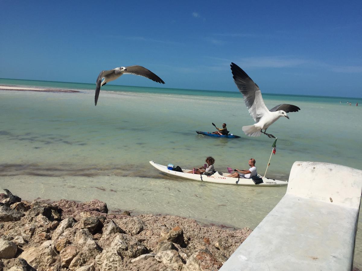 Hotel Hacienda La Catrina Isla Holbox ภายนอก รูปภาพ