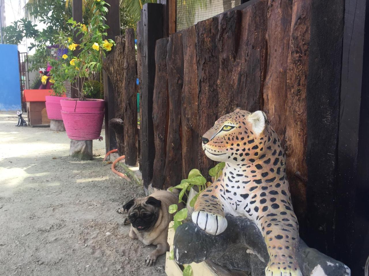 Hotel Hacienda La Catrina Isla Holbox ภายนอก รูปภาพ